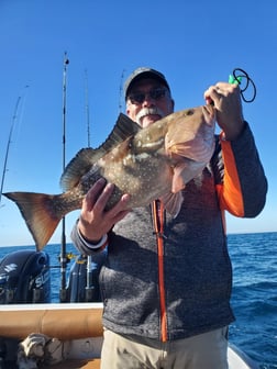 Fishing in St. Petersburg, Florida