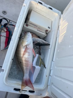Fishing in Key West, Florida