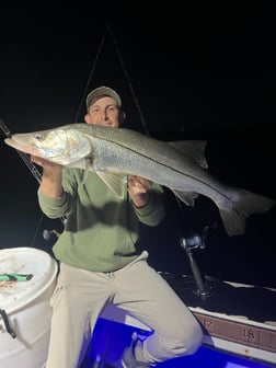 Fishing in St. Petersburg, Florida