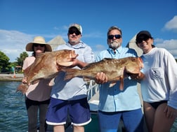 Fishing in St. Petersburg, Florida