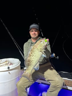 Fishing in St. Petersburg, Florida