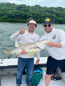 Bradenton Fishing Reports (June 2026)